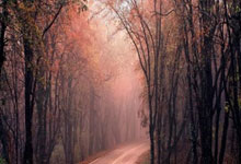 能否延续胜利？多特蒙德对弗赖堡已取得六连胜.