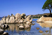 刘王出局上热搜，瑞士赛国羽3单项有望包揽冠亚，附赛程.